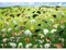 1000 Pieces Puzzles for Adults, Pooping Puppies Puzzle, Dogs Jigsaw Puzzles 1000 Pieces, Funny Gifts for Dog Lovers Friends, Perfect White Elephant Gag Gift, Dog Puzzle as Funny Home Party Decorations