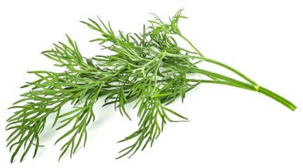 Click and Grow Smart Garden Dill Pflanztöpfe, 9 Stück