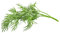 Click and Grow Smart Garden Dill Pflanztöpfe, 9 Stück