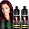 Paquete combinado: 2 champús Herbishh para color de cabello para cabello gris + 1 mascarilla capilar intensa de argán, champú para teñir el cabello, 500 ml estimula (Borgoña)