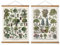 2 Stück Vintage Baum Poster (klein), hängende Poster Aufhänger Rahmen Retro Stil von Wandkunstdrucken, gedruckt auf Leinen mit Holzrahmen, fertig zum Aufhängen