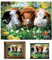 3D LiveLife Linsenförmige Wandkunst Drucke - Meerschweinchen von Deluxebase. Ungerahmtes 3D Haustier. Perfekter Wandfüller. Original kunstwerk lizenziert von bekannt künstler, David Penfound