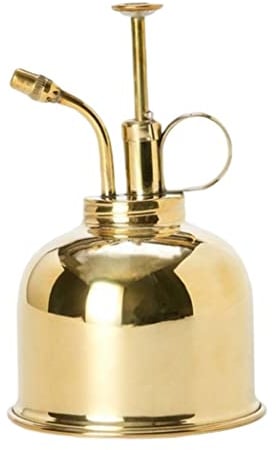 DAGLLGEW Plant Mister Sprühflasche aus Messing Pflanzenspritzer kleine Gießkanne für Blumen 300 ml goldene Gartendekoration