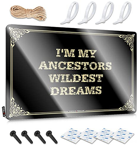 Lustiges Garagen-Blechschild mit Aufschrift I'm My Ancestors Wildest Dreams, Raumschilder für Schlafzimmer, lustige Wandschilder (Größe: 30 x 40 cm)