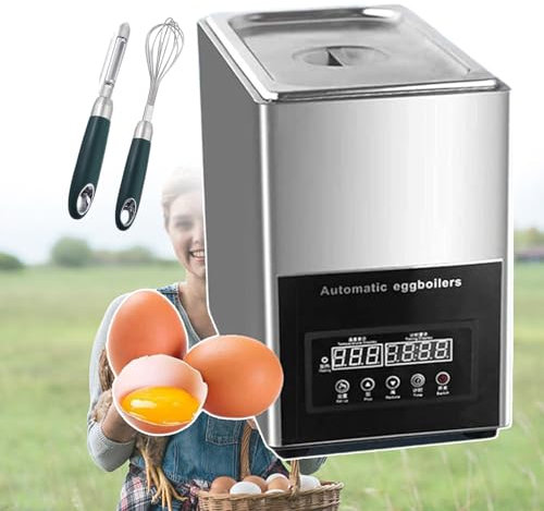 WJFTODAY 800W Professional Egg Boiler Machine 9L Stainless Steel Electric Egg Cooker 50 Eggs Large CapacityAutomatic Eggboilers Omelette Device for Commercial Home Use (with LCD Screen)
