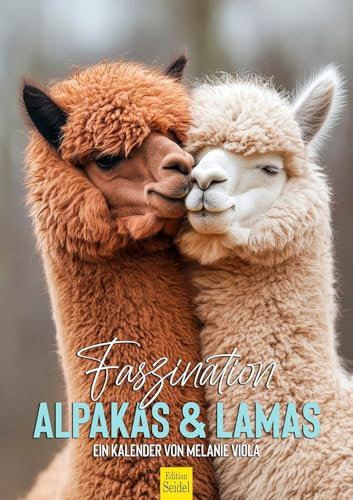 Edition Seidel Premium Kalender Faszination Alpakas & Lamas 2026 Format DIN A3 Wandkalender Tierkalender Südamerika Peru Anden Lama Alpaka Pako Kamele Lasttiere Melanie Viola