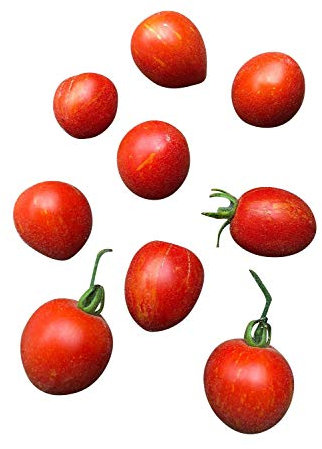 Topf/Balkon Tomate -Fuzzy Wuzzy- 10 Samen