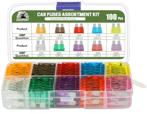 LOCOPOW 100Pcs Standard Blade Fuses Kit Car Fuse Assortment Kit RV Fuses