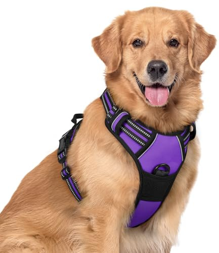 rabbitgoo Dog Harness Large Dog, No Pull Vest with Front Clip & Handle | No Choke, Adjustable, Breathable Padded, 2 Lead Rings, Reflective, Easy Control for Walking Training, XL, Purple