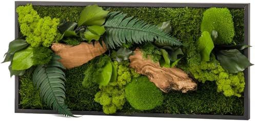 Naturalys - Tableau végétal CANOPEE Rectangle 27 x 57 cm