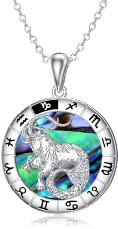 enjoylifecreative Collier avec 12 signes du zodiaque en argent sterling 925 horoscope coquillage d'ormeau pendentif chaîne constellations astrologie bijoux d'anniversaire cadeaux pour femmes et filles