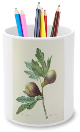 Stifteköcher aus Keramik – violette Feigen Tafel Illustration Botanische Antike Blumen – 325 ml