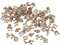 UERRY 200 Stücke Holz ausschnitte Verzierungen Mini Notenschlüssel Musiknote exquisit Zum Erstellen von Karten, Scrapbooking, Geschenkboxen, Christbaumschmuck, Hochzeitsdekorationen, Wohnkultur
