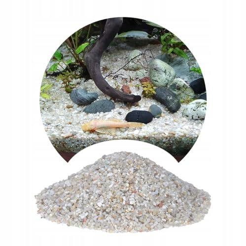 TD STONES Quarzkies Hell 2-3mm (24kg) - Natürlicher Aquarium Kies & Bodengrund für Pflanzen, Fische & Garnelen - Schadstofffreier Aquariumboden, Deko Sand