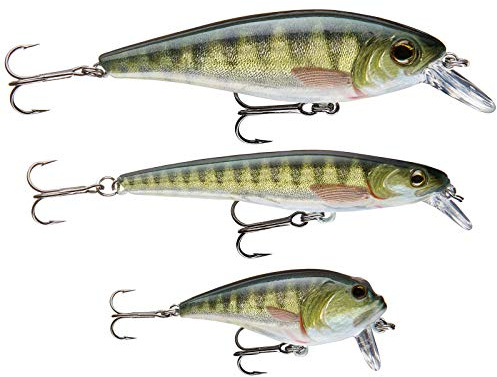 Cormoran Wobbler Set Perch