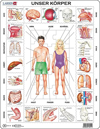 Larsen OB1 Rahmenpuzzle Unser Körper 35 Teile