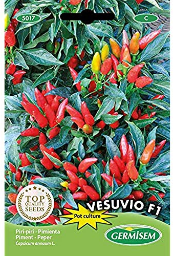 Germisem Chilli VESUVIO F1, mehrfarbig, EC5017