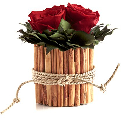 ROSEMARIE SCHULZ Heidelberg Infinity Rosenbox rund 3 echte Rosen Rot konserviert in Vase aus Zimtstangen Lange haltbar 3 Jahre (Rot, 3 Rosen)