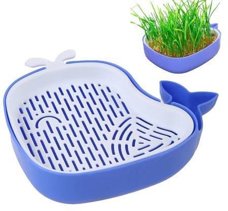 Cat Grass Growing Kit – Organic Seed Tray, Pet Wheatgrass Planter, Indoor Green Station | Whale Shaped Layered Container Structure, Soilless Hydroponic Growth Box Apartment Display Spot