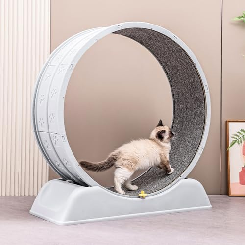 YOPOTIKA Katzenlaufrad, 80 cm großes Laufband für Katzen, mit Sicherheitsbremse und weichem Innenstoff für Hauskatzen zum Trainieren, Laufen und Beschäftigen
