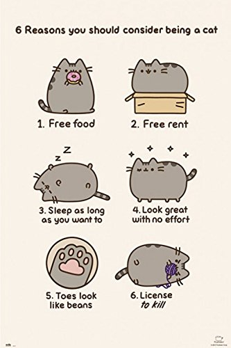 1art1 Pusheen Poster The Cat Plakat | Bild 91x61 cm
