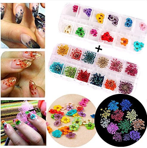 Nail Art Accessories 12-Color Three-Dimensional Nail Dry Flowers 60 Starry Plus 60 Five Flower