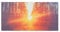 Klarstein Radiador Infrarrojos Pared Potencia 720W, Placa Calor Bajo Consumo, Panel Radiante Bajo Consumo, Panel Infrarrojos Calefaccion, Calefactores Infrarojos Panel Radiante Pared