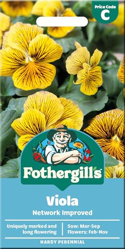 Viola Seeds Network Improved Mr Fothergill’s Seeds – 50 Premium Garden Flower Seeds for Planting UK - Vibrant Blue & Yellow Blooms, Hardy Annual, Ideal for Borders, Containers – Attracts Pollinators