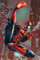 Marvel Spider-Man (Web Schlinge) Maxi Poster, 61 x 91.5 cm