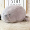 BYNYXI Chubby Blob Seal Kissen, 40cm Meerestier Plüsch Kissen Gefülltes Robbe Kuscheltier Fette Siegel Umarmungskissen Baumwolle Blob Seal Kissen Geburtstagsgeschenk für Kinder Jungen Mädchen