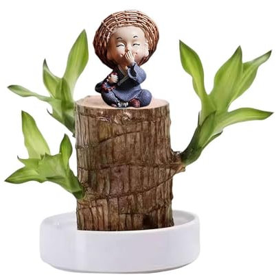 Dasongff Lucky Wood - Arbre de Chance Bois Porte Bonheur Brésilien Plante en Bois brésilien, Décoration D'Intérieur Bureau Mini Bois deportebonheur du Brésil (Bois brésilien + poupée 1)