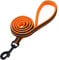 PETTOM Hundeleine Reflektierend Leine aus Nylon mit Weich Gepolsterter Griff und Metallhaken für Training, Robuste Leine Hund für Kleine Mittel Große Hunde (Orange 110 cm)