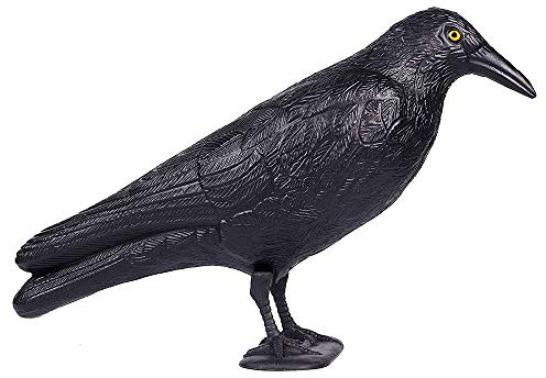 MacroHu Rabe Vogelscheuche Kunststoff Rabe Plastik Raben Vogelabwehr Schwarzer Rabe Krähe Taubenschreck Taubenabwehr Balkon Vogelschreck Vogelschutz Tauben Vertreiben Bird Repeller Bird Deterrent