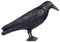 MacroHu Rabe Vogelscheuche Kunststoff Rabe Plastik Raben Vogelabwehr Schwarzer Rabe Krähe Taubenschreck Taubenabwehr Balkon Vogelschreck Vogelschutz Tauben Vertreiben Bird Repeller Bird Deterrent