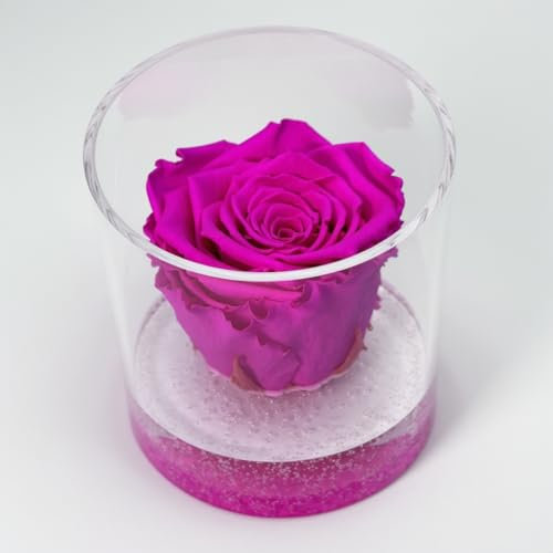 Box Tondo con Rosa Fucsia stabilizzata Profumata, Scatola con Rosa Fucsia Vera Eterna | Idea Regalo Natale,Compleanno, Nonna, Amica, | Fatto in Italia (Fucsia 1042)