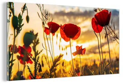 MuchoWow Glasbild Glasfoto Wandbild Bilder Deko 80x40 cm Rote Mohnblumen bei Sonnenaufgang