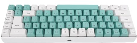 MENDUNER Tastiera da Gioco Meccanica di Retroilluminazione RGB, Tastiera Cablata di Layout 68 a 68 Tasti, 25 Tasti Antifasti (Blocco di colore verde bianco)