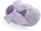 LACOFIA Scarpe da Battesimo Neonata per Bowknot con Suola Morbida Antiscivolo Ballerine Bambina Viola 3-6 Mesi