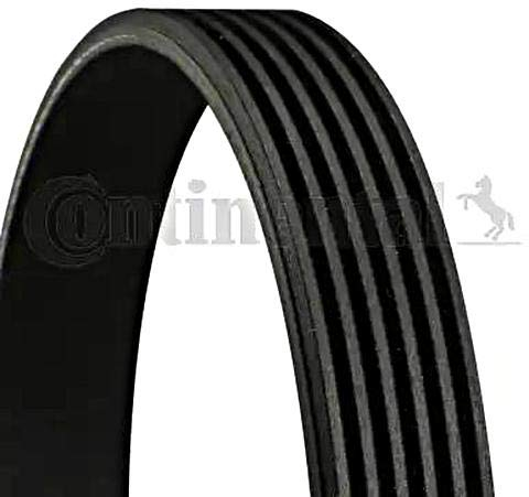 CONTITECH 6PK1004 EXTRA Zahnriemen