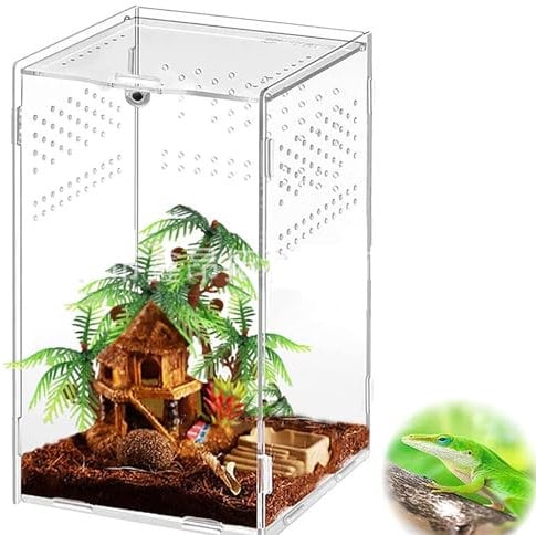 AMZTEMU Terrarium phasme, Boîte à Nourrir en pour Reptiles, Ensemble de récipient en Acrylique d'insecte, Habitat Portable(12 * 12 * 20cm)