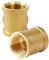 Manchon Droite Femelle,2 PCS Laiton Filetage Femelle 3/4 Connecteur Raccord en Laiton Raccord Double Femelle Laiton Raccord Manchon Laiton pour Chauffage Système D'eau Potable