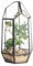 NCYP 22cm Height Geometric Plant Terrarium with Door, Irregular Glass Planter for Succulents, Modern Tabletop Decor Clear Glass Flower Pot, Miniature Fairy Garden, Handmade (No Plants Included)