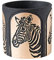 Hosoncovy Vaso da fiori in cemento con motivo zebrato, 14 cm, vaso per piante grasse per interni, vaso da giardino (nero e oro)