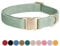 Petiry Green Dog Collar with Safety Metal Buckle Adjustable Durable Comfort Velvet Corduroy Dogs Collar for Medium Dogs Neck 31-49cm,Laurel Green