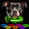 Light Up Collar Dog (Green with 7 Flashing LED in 1) - Dog Lights For Night Walking - Dog Collar Light - Adjustable For Small/Medium/Large Dog Collar Lights In The Dark
