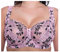 Gem Women's Full Cup Lace Embroidered Plus Size Underwired Bra (Pink-Black, 38H)
