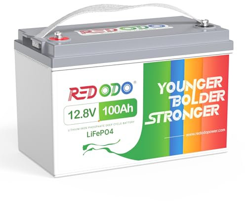 Redodo 12V 100Ah Batterie Lithium,Batterie LiFePO4 Énergie 1280Wh BMS 100A,Plus Légère et Plus Compacte Que Batteries AGM,4P4S,Poids 10KG pour Caravanes, Bateaux, Camping-Cars, Maison Solaire