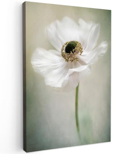 MuchoWow© Wandbilder 40x60 cm Wohnzimmer Wanddeko Blumen Leinwandbild Schlafzimmer Zimmerdeko Fotowand Zimmer Deko Wand Dekoration Wall Art Blumen - Natur - Anemone - Weiß