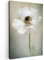 MuchoWow© Wandbilder 40x60 cm Wohnzimmer Wanddeko Blumen Leinwandbild Schlafzimmer Zimmerdeko Fotowand Zimmer Deko Wand Dekoration Wall Art Blumen - Natur - Anemone - Weiß