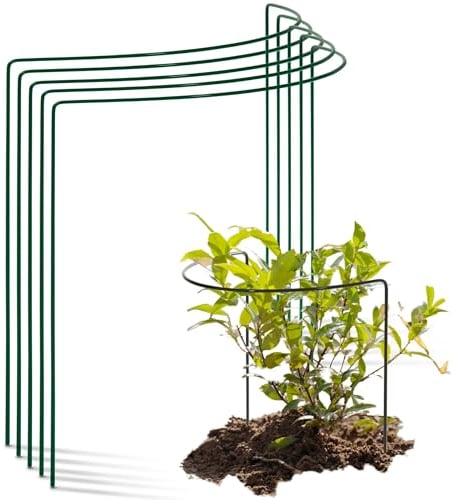 Novatool Lot de 5 Tuteurs d'arbustes - Semi-Circulaire - Vert - 50 x 40 cm